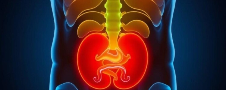 Эротический массаж простаты: безопасность, польза и как подойти к теме с уважением