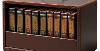 Как быстро растет сирень из маленького саженца